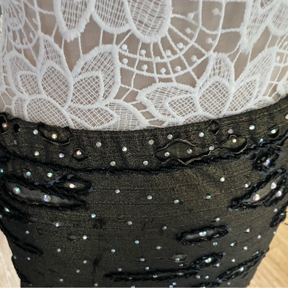 Black with brown accents shimmery belly dance costume. - Picture 9 of 15